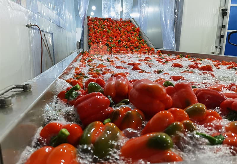 images/1702542046013bell pepper washing machine.jpg